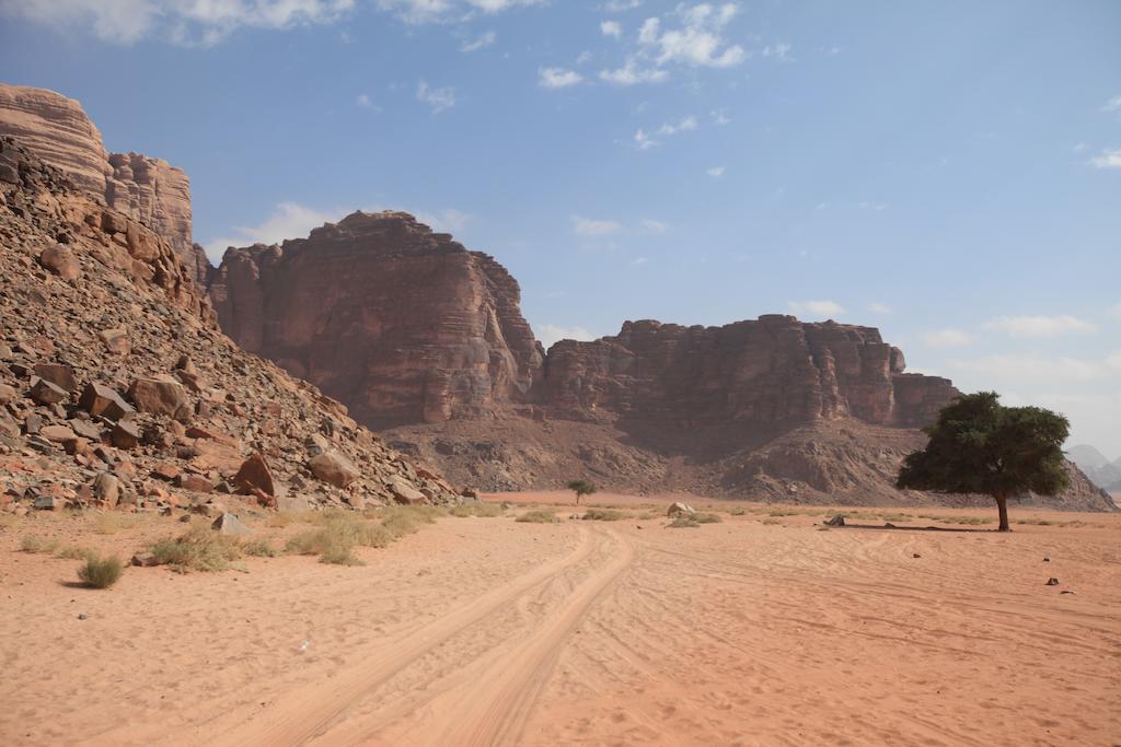 Bedouin Expedition وادي رم المظهر الخارجي الصورة