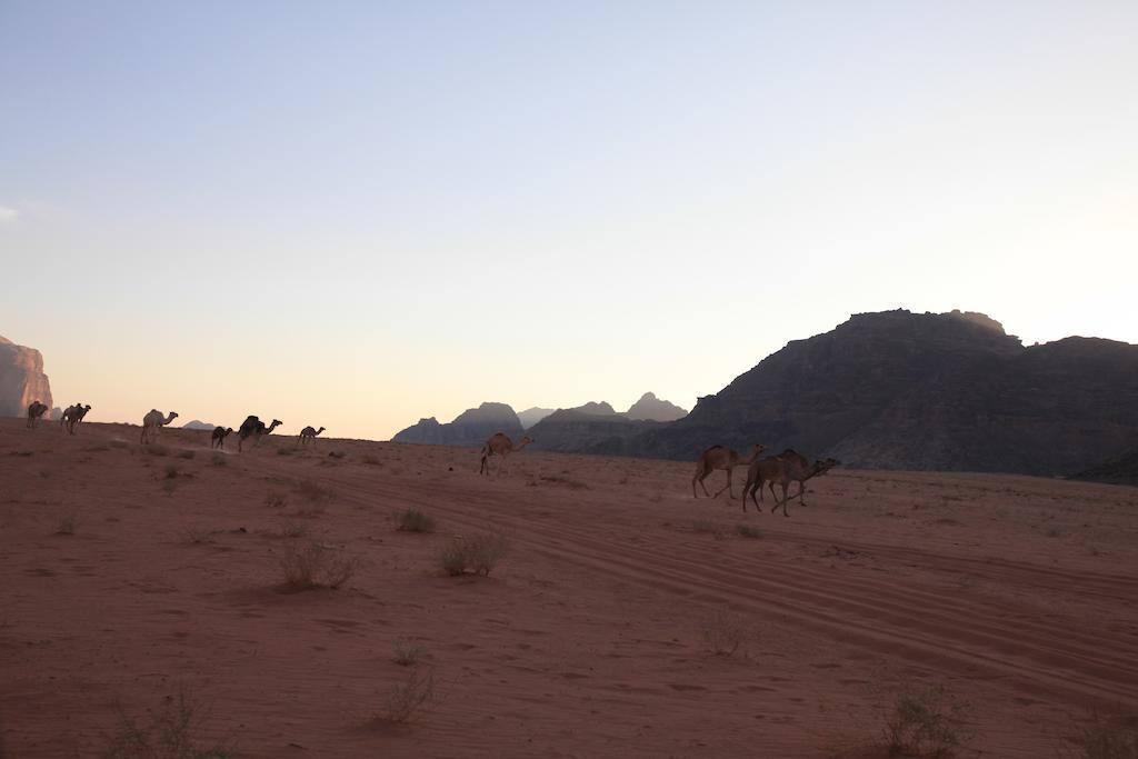 Bedouin Expedition وادي رم المظهر الخارجي الصورة
