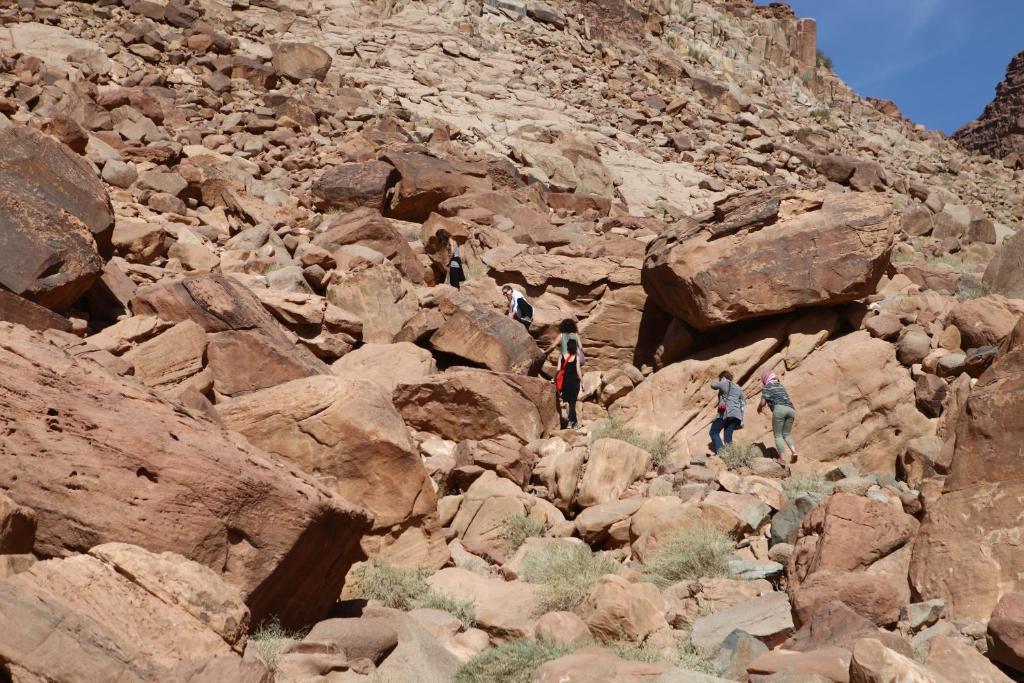 Bedouin Expedition وادي رم المظهر الخارجي الصورة