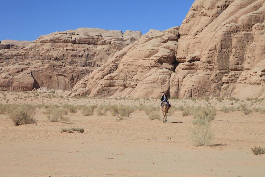 Bedouin Expedition وادي رم المظهر الخارجي الصورة