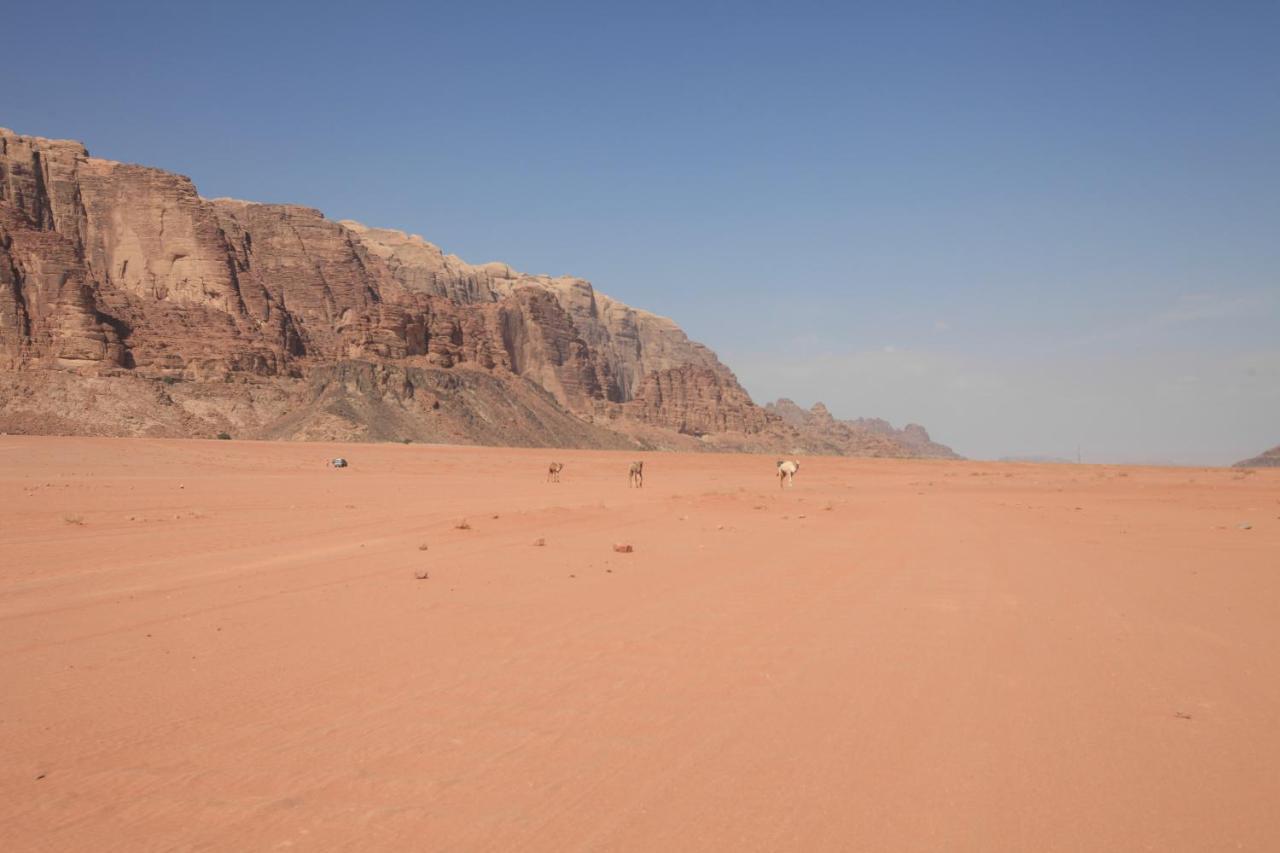 Bedouin Expedition وادي رم المظهر الخارجي الصورة